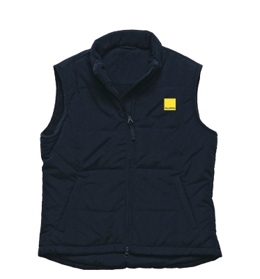 Picture for category Vest