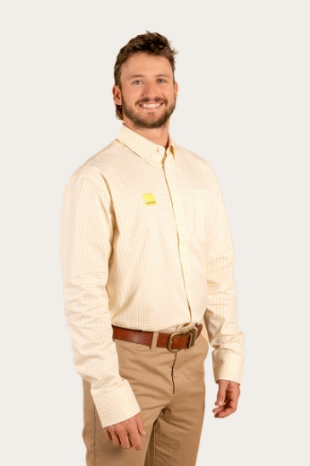 Picture of Ray White Mens Heritage Dress Shirt - Yellow Check - 7XL